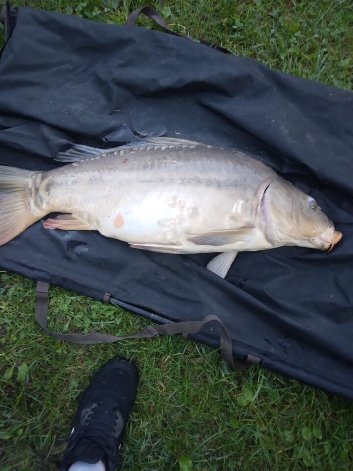 Grosse prise a l etang des sources