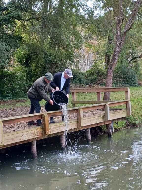 Alevinage etang des sources